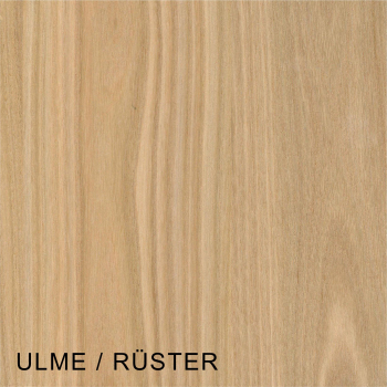 Rüster / Ulme Massivholzplatte 30 mm