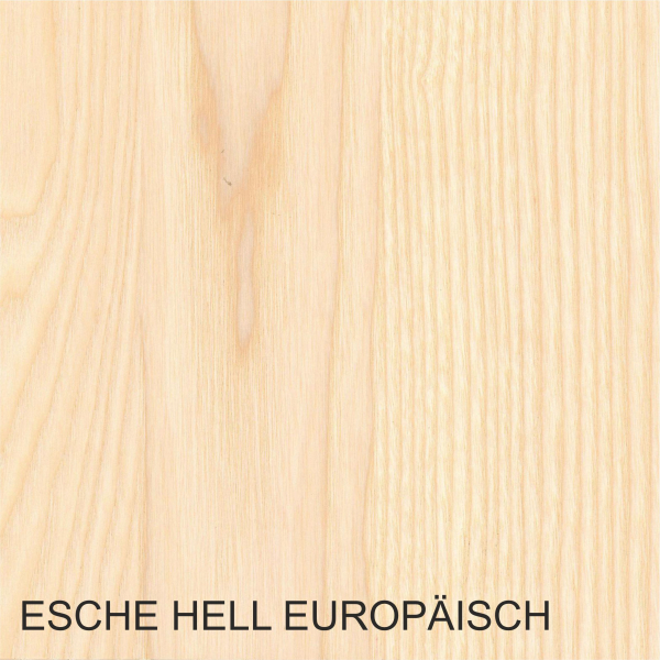 Esche Europäisch 40 mm