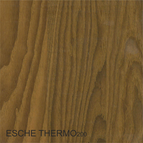 Esche Thermo200 Massivholzplatte 19 mm