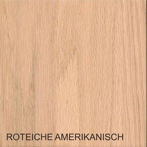 Roteiche Amerikanisch