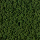Muster Moospaneele dunkelgrün 140 x 230 mm