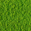 Muster Moospaneele hellgrün 140 x 230 mm