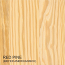 Kiefer amerikanisch (Red Pine)